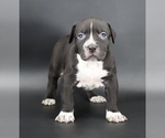 Image preview for Ad Listing. Nickname: Harmonia