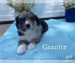 Image preview for Ad Listing. Nickname: Granite
