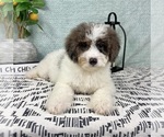 Image preview for Ad Listing. Nickname: Benny