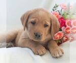 Image preview for Ad Listing. Nickname: Jeryl
