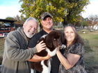 Small Photo #3 Newfoundland Puppy For Sale in CITRUS HEIGHTS, CA, USA