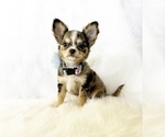 Image preview for Ad Listing. Nickname: Smores