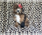 Image preview for Ad Listing. Nickname: Diva