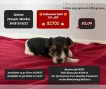 Image preview for Ad Listing. Nickname: Selene