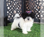 Image preview for Ad Listing. Nickname: Peaches