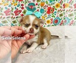 Image preview for Ad Listing. Nickname: Tiny Selena