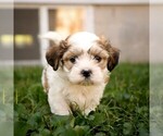 Image preview for Ad Listing. Nickname: Victor