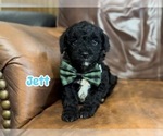 Image preview for Ad Listing. Nickname: Jett