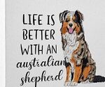 Puppy A Hamilton Australian Shepherd