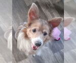 Small #1 Breeder Profile image