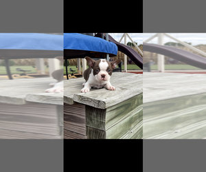 Main image of advertise