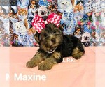Image preview for Ad Listing. Nickname: Tiny Maxine