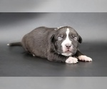 Image preview for Ad Listing. Nickname: Harmonia