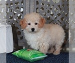 Image preview for Ad Listing. Nickname: Isaac