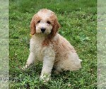 Image preview for Ad Listing. Nickname: Bethany