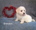 Image preview for Ad Listing. Nickname: Brandon
