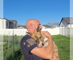 Small #10 Mutt