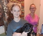 Small #14 Rottweiler