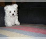 Image preview for Ad Listing. Nickname: Jan