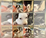 Small #2 Breeder Profile image