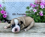 Image preview for Ad Listing. Nickname: 6th Female