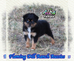 Image preview for Ad Listing. Nickname: Alba