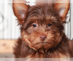 Image preview for Ad Listing. Nickname: Beckham