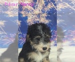 Image preview for Ad Listing. Nickname: Nancy