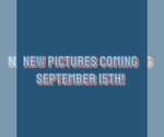 Image preview for Ad Listing. Nickname: Tessa