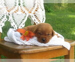 Image preview for Ad Listing. Nickname: Sunbeam