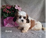 Image preview for Ad Listing. Nickname: Anne