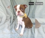 Image preview for Ad Listing. Nickname: Fiona