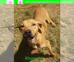 Small #3 Breeder Profile image