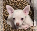 Image preview for Ad Listing. Nickname: BILLY