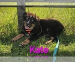 Image preview for Ad Listing. Nickname: Kate