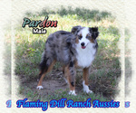 Image preview for Ad Listing. Nickname: Pardon