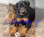 Image preview for Ad Listing. Nickname: Cry Baby