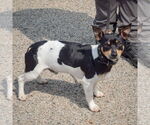 Small #1 Jack Chi