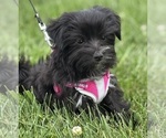 Image preview for Ad Listing. Nickname: Miss Janie