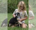 Small #8 Mutt