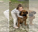 Small #1 Mutt