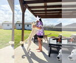 Small #10 Greyhound Mix