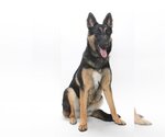 Small #2 Breeder Profile image