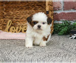 Image preview for Ad Listing. Nickname: Alana