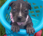 Image preview for Ad Listing. Nickname: Sonya