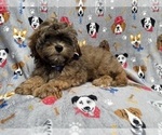 Image preview for Ad Listing. Nickname: Drake