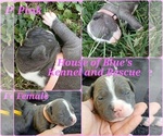 Image preview for Ad Listing. Nickname: Pink Female