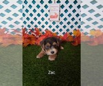 Image preview for Ad Listing. Nickname: Zac