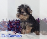 Image preview for Ad Listing. Nickname: Damian