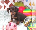 Image preview for Ad Listing. Nickname: Ike